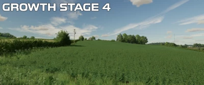 OSR/Canola Crop Textures v1.0.0.0