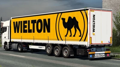 Wielton Skin 1.48