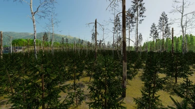 Beaver Hollow v1.0.1.1