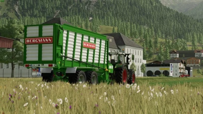 Bergmann Carex 38S v1.0.0.0