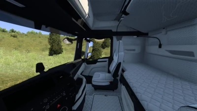 MAN 2020 White Diamond Pattern Interior v1.0