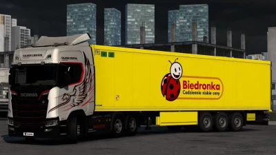 SKIN KRONE COOL LINER BIEDRONKA 1.0 1.40 1.46