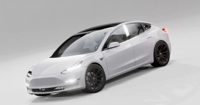 2023 TESLA MODEL 3 v1.0