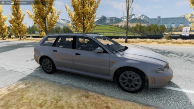 Audi RS 4 Pale Slate v1.0