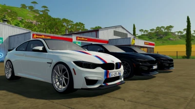 BMW M4 F80 Tuning v1.0.0.0