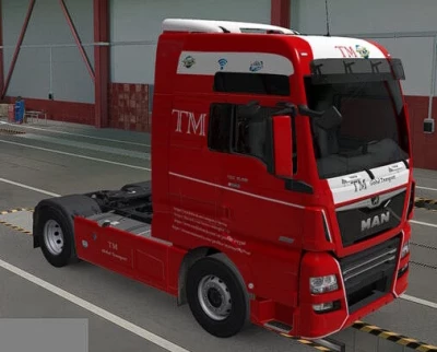 Skin MAN TGX 6 TM global transport by maury79 1.47