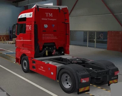 Skin MAN TGX 6 TM global transport by maury79 1.47