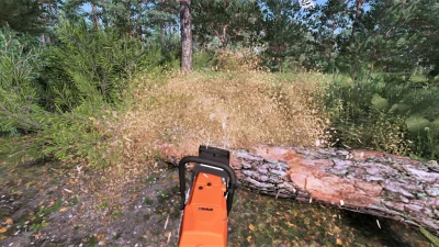 Stihl MS 661 C v1.1.0.0