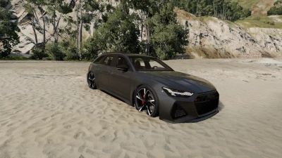 Audi RS6 C8 v1.1