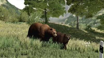 Decorative Placeable Grizzly Bears Pack v1.0.0.0