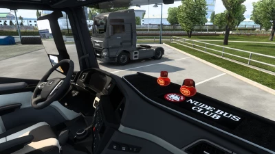 Interior camera Man tgx 2020 by scs  1.47