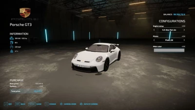 Porsche Carrera GT3 v1.0.0.0