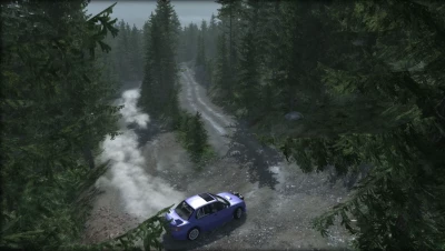 RALLY FOREST + 7 TRACKS v1.0