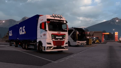 Skin ExpressLine for MAN TGX 2020 1.47