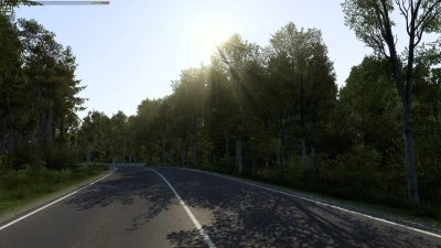 Tree improved 4K v1.6