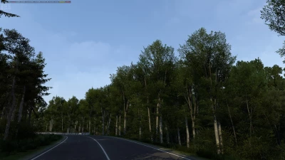 Tree improved 4K v1.6