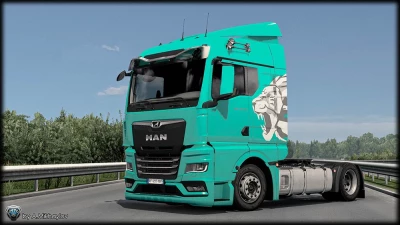 4K 8K MAN TGX 2020 RENT a MAN MULTICOLOR SkinPack v1.2