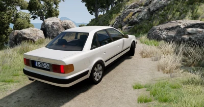 Audi 100 C4 v1.0