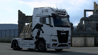 MAN TGX TG3 Individual v1.0