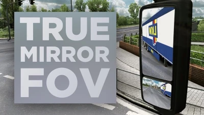 True Mirror FOV 1.48