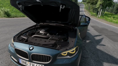 BMW F10 M5 and 5 Series v1.0 0.29.x