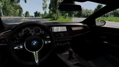 BMW F10 M5 and 5 Series v1.0 0.29.x