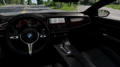 BMW F10 M5 and 5 Series v1.0 0.29.x