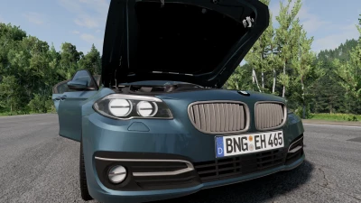 BMW F10 M5 and 5 Series v1.0 0.29.x