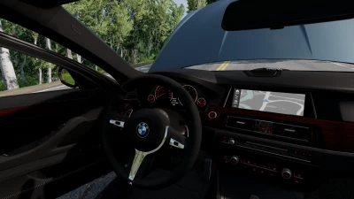 BMW F10 M5 and 5 Series v1.0 0.29.x