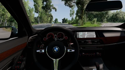 BMW F10 M5 and 5 Series v1.0 0.29.x