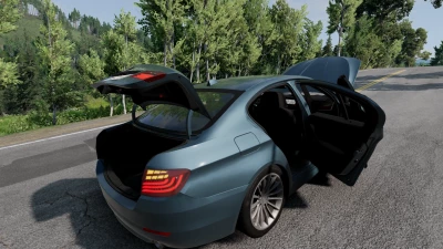 BMW F10 M5 and 5 Series v1.0 0.29.x