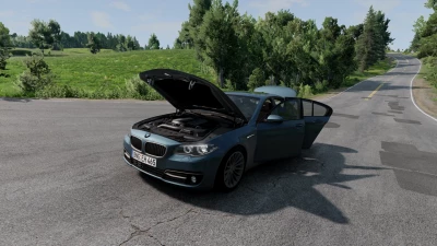 BMW F10 M5 and 5 Series v1.0 0.29.x