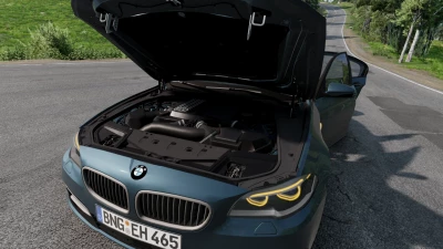 BMW F10 M5 and 5 Series v1.0 0.29.x