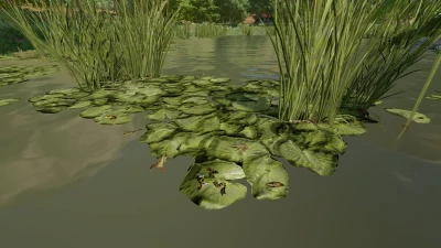 Frogs For Pond v1.0.0.0