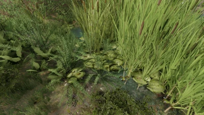 Frogs For Pond v1.0.0.0