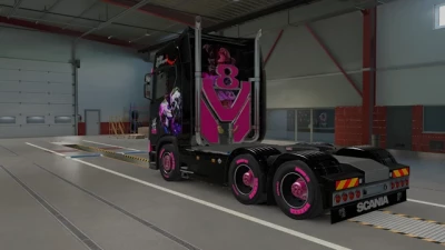 Quinn Skin For Scania S v1.0