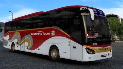 Setra S516 HD Goldtrans Tours Skin 1.48