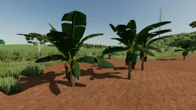 Banana Tree v1.0.0.0