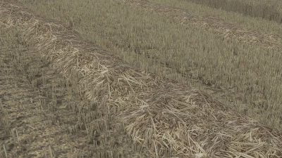 FS22 Straw texture v1.0.0.0