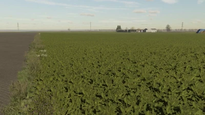 FS22 Sugarbeet Textures v1.0.0.0