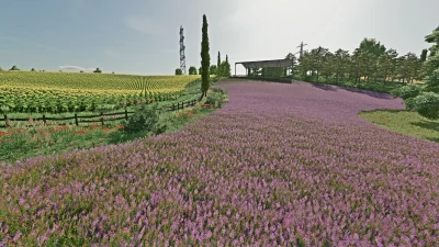 Hills Of Tuscany v1.1.0.2