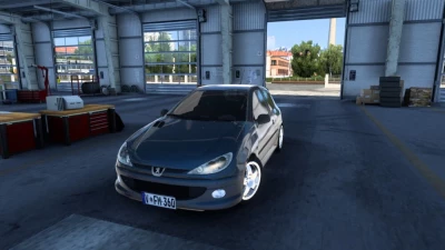 Peugeot 206 RC 2006 1.48