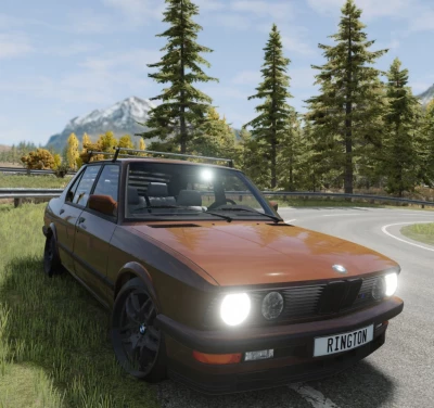 BMW E28 v1.0 0.31.x