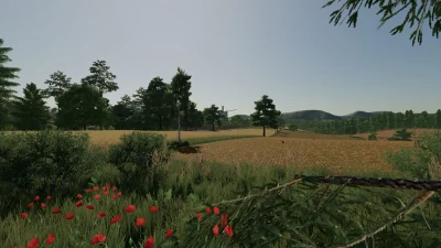 Delusion Map v1.0.0.0