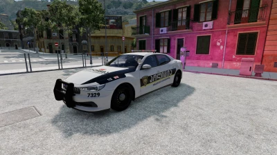 Georgian police skin for Bastion v1.0