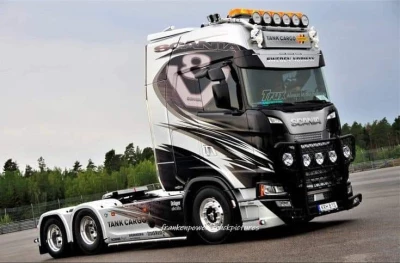 Scania Viking Skin 1.47