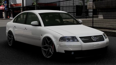 2003 Volkswagen Passat B5+ Sedan v1.0