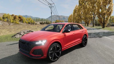 2024 Audi RS Q8 0.33.x