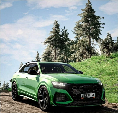 AUDI RS Q8 0.33