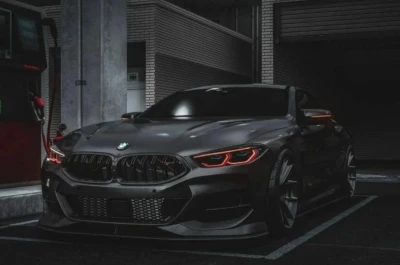 BMW M8/M8 Competition G16 2022 v1.1 0.33.x